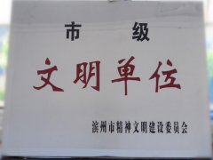 喜訊！公司榮獲“市級文明單位”稱號